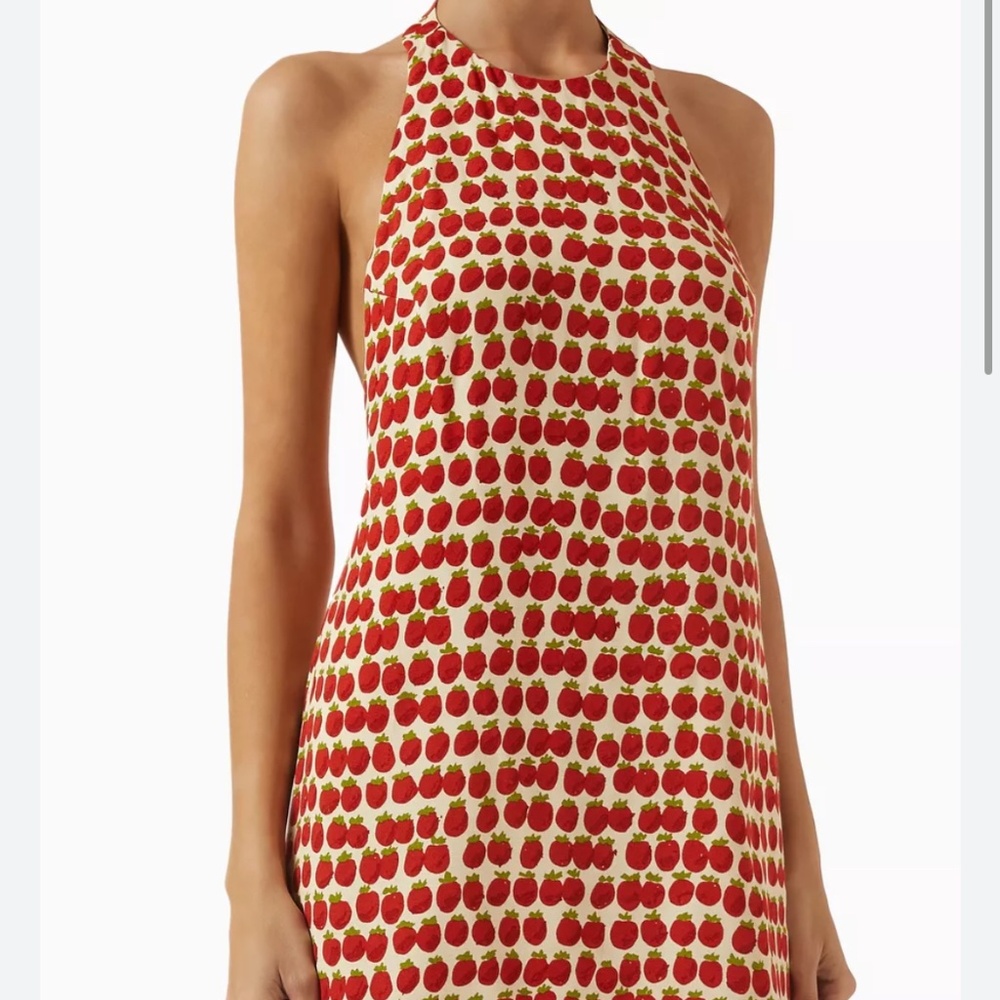 Reformation Avielle Dress